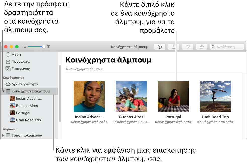 Το τμήμα «Κοινόχρηστα άλμπουμ» του παραθύρου Φωτογραφιών, όπου φαίνονται κοινόχρηστα άλμπουμ.