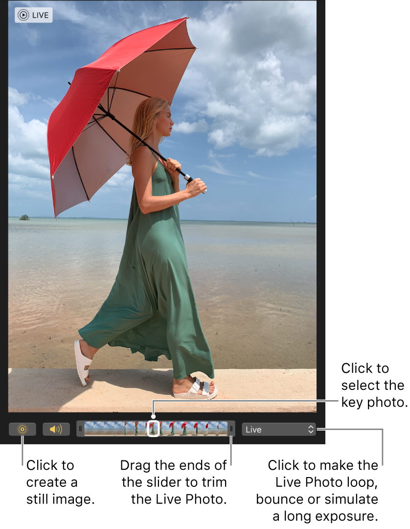 A Live Photo in editing view with a slider beneath it showing the frames of the photo. The Live Photo button and Speaker button are to the left of the slider, and to the right is a pop-up menu you can use to add a loop, bounce or long exposure effect.