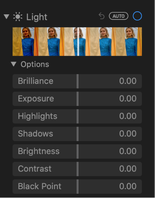 The Light area of the Adjust pane showing sliders for Brilliance, Exposure, Highlights, Shadows, Brightness, Contrast, and Black Point.