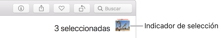 Un indicador de selección mostrando que se seleccionaron tres fotos.