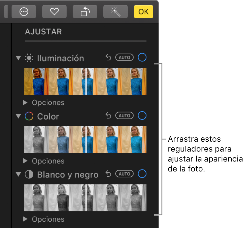 Los reguladores de Luz, Color, “Blanco y negro” en el panel Ajustar. Aparece el botón Automático arriba de cada regulador.