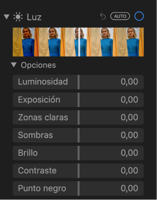 El área Luz del panel Ajustar con reguladores para Luminosidad, Exposición, Zonas claras, Sombras, Brillo, Contraste y Punto negro.