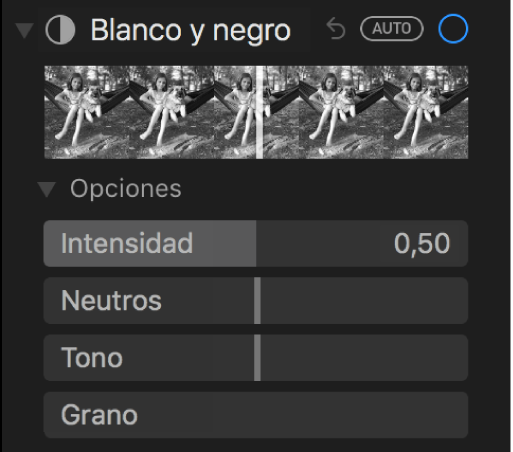 El área “Blanco y negro” del panel Ajustar con reguladores para Intensidad, Neutros, Tono y Grano.