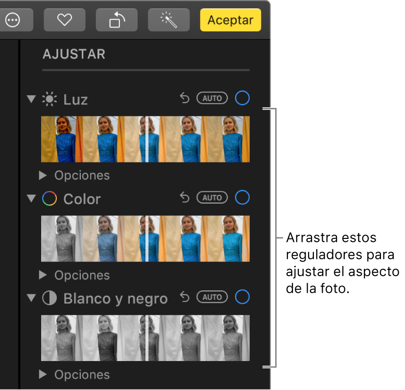 Los reguladores Luz, Color o “Blanco y negro” del panel Ajustar. Aparece un botón Automático encima de cada regulador.