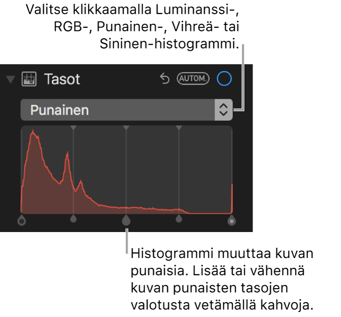 Tasosäätimet ja histogrammi kuvan punaisten alueiden muuttamista varten.