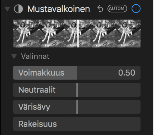 Säädot-paneelin Mustavalkoinen-kohdassa näkyy säätimet intensiteetille, neutraaleille, värisävyille ja rakeisuudelle.