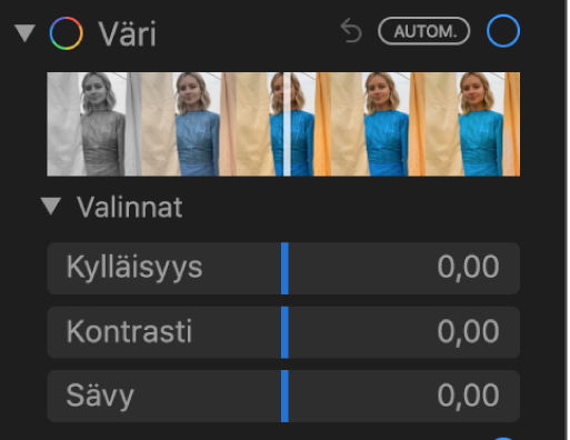 Säädot-paneelin Väri-kohdassa näkyy säätimet kylläisyydelle, kontrastille ja värivirheelle.