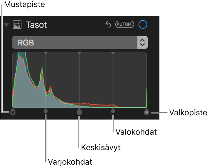 RGB-histogrammin tasosäätimet, mukaan lukien (vasemmalta oikealle) mustapiste, varjokohdat, keskisävyt, valokohdat ja valkopiste.
