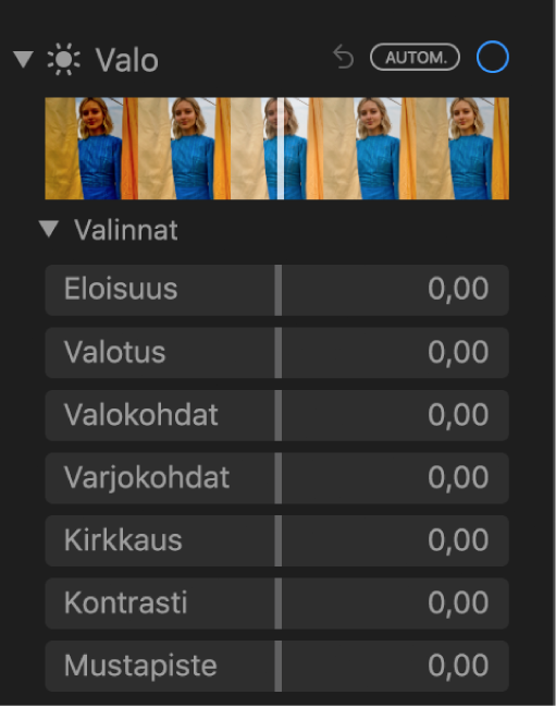 Säädot-paneelin Valoisuus-kohdassa näkyy säätimet eloisuudelle, valotukselle, valokohdille, varjoille, kirkkaudelle, kontrastille ja mustapisteelle.