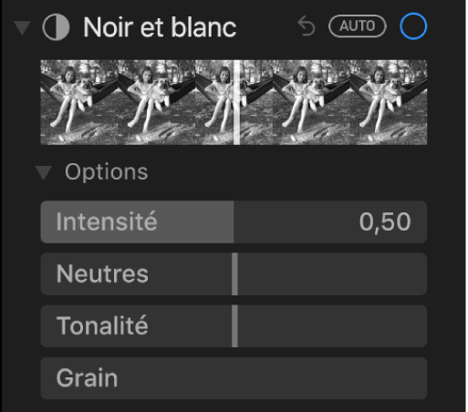 La zone Noir et blanc de la sous-fenêtre Ajuster présentant les curseurs Intensité, Neutres, Ton et Grain.