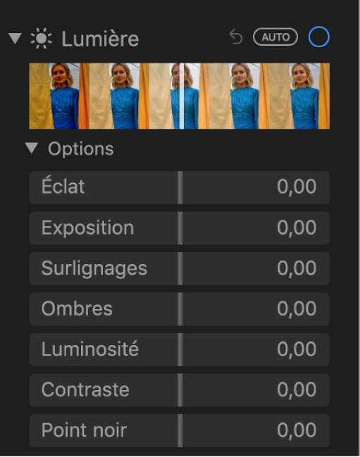La zone Clarté de la sous-fenêtre Ajuster présentant les curseurs Brillance, Exposition, Tons clairs, Ombres, Luminosité, Contraste et Point noir.