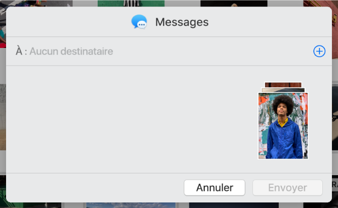 Une zone de dialogue pour ajouter des destinataires lors du partage de photos à partir de l’app Photos via Messages.