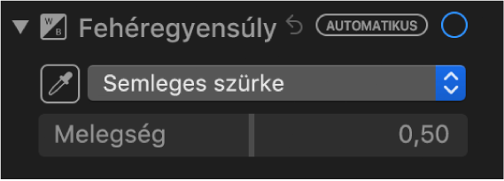 Fehéregyensúly-vezérlők a Beállítás panelen.