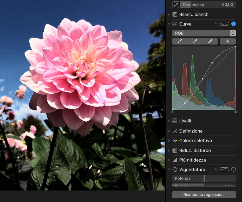 Una foto dopo la regolazione Curve.