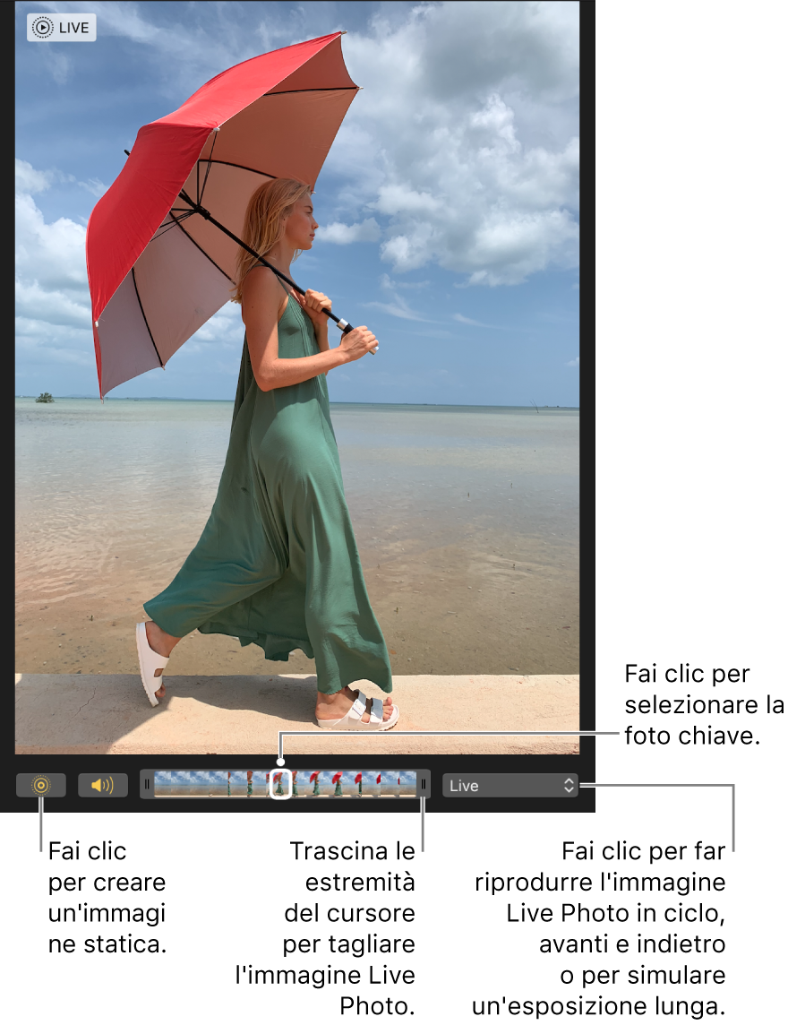 Una Live Photo nella vista di modifica e un cursore sotto di essa con i fotogrammi della foto. I pulsanti Live Photo e Altoparlante sono a sinistra del cursore, mentre a destra è presente un menu a comparsa che puoi utilizzare per aggiungere un effetto di ripetizione, rimbalzo o esposizione lunga.