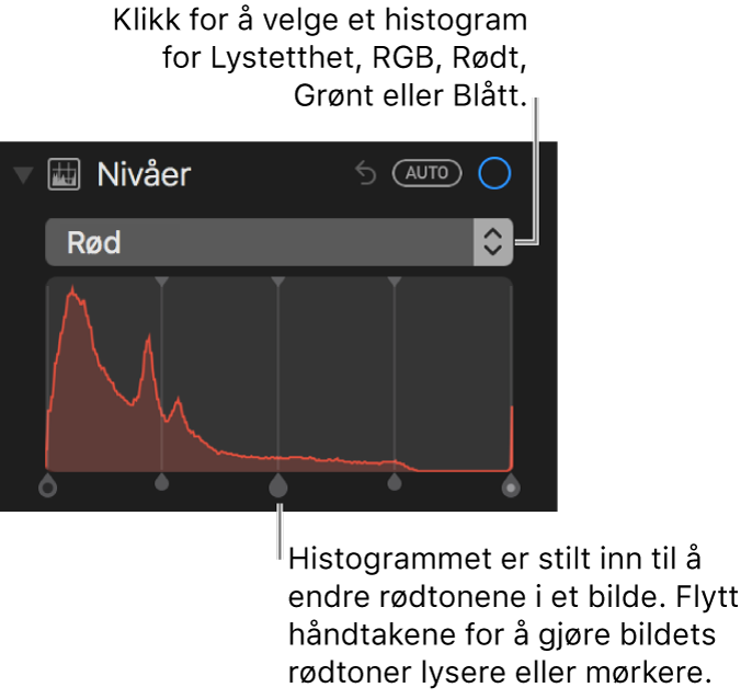 Nivåkontroller og histogram for å endre rødfarger i et bilde.