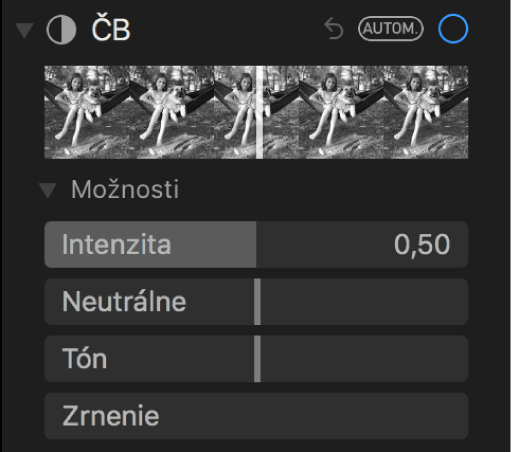 Oblasť ČB na paneli Úpravy zobrazujúca posuvníky pre nastavenia Intenzita, Neutrálne, Tón a Zrnenie.