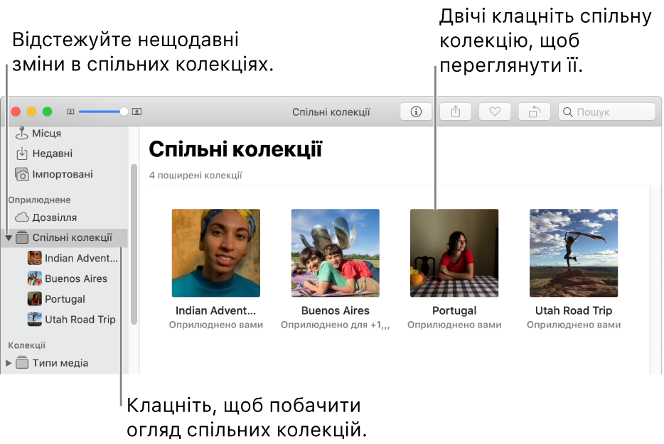 Панель «Спільні колекції» у вікні програми «Фотографії» зі спільними колекціями.