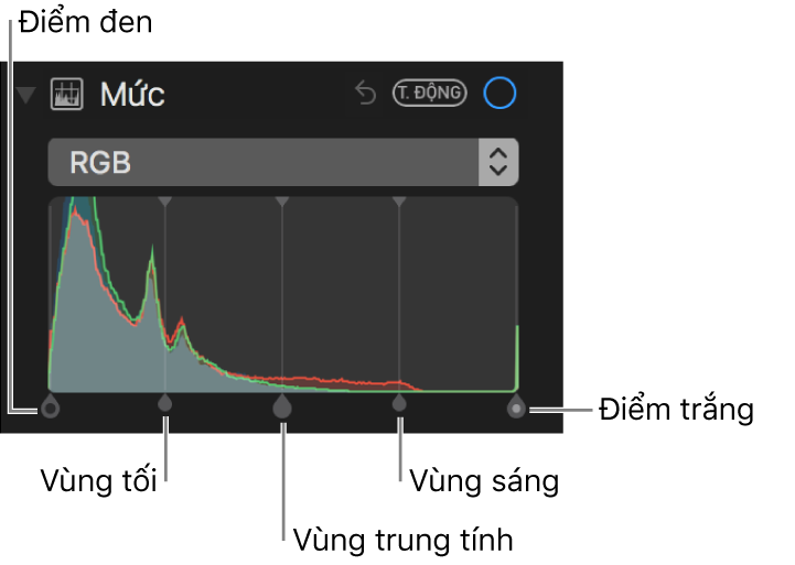 Các điều khiển mức cùng với biểu đồ RGB, bao gồm (từ trái sang phải) điểm đen, vùng tối, vùng trung tính, vùng sáng và điểm trắng.