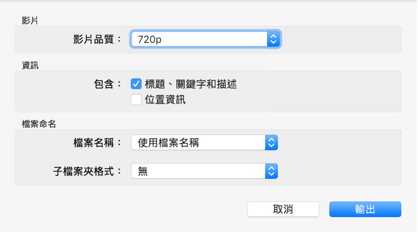 對話框顯示輸出影片的選項。