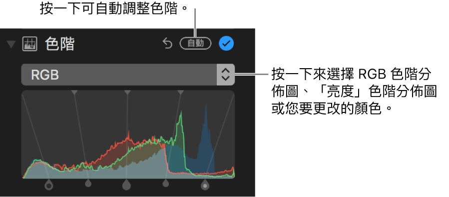 「色階」控制項目和「自動」按鈕位於右上角。