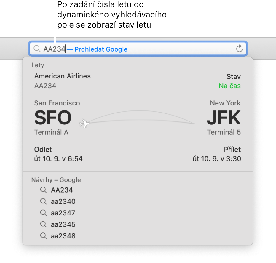 Číslo letu zadané do dynamického vyhledávacího pole a stav letu zobrazený přímo pod ním