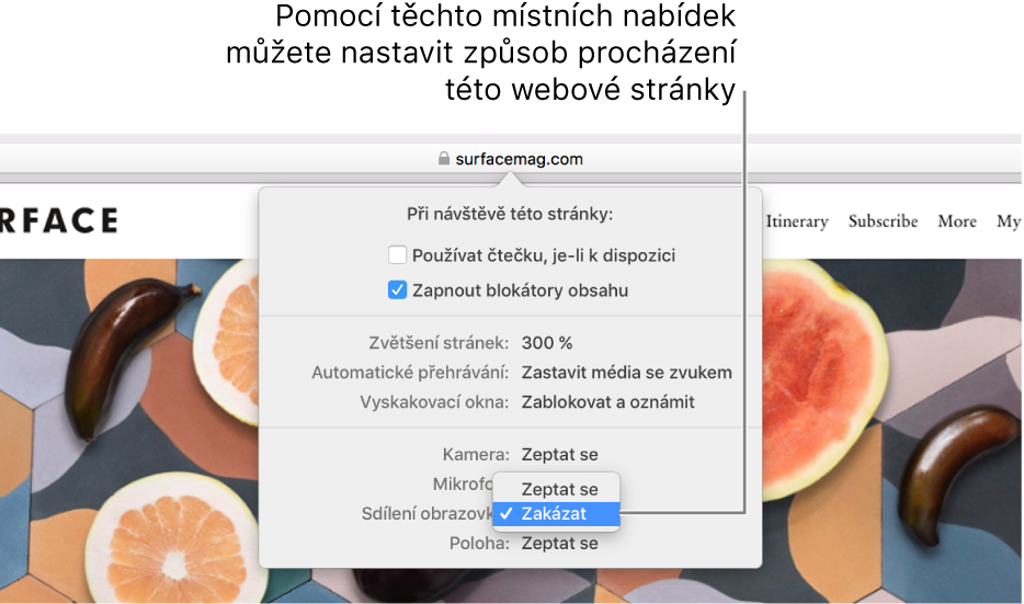 Dialogové okno, které se objeví pod dynamickým vyhledávacím polem, když použijete příkaz Safari > Nastavení pro tuto webovou stránku. Volby obsažené v tomto dialogovém okně vám umožňují přizpůsobit způsob procházení aktuálního webového serveru, nastavit použití čtečky, zapnout blokátory obsahu a změnit další parametry.