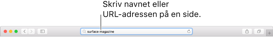 Det smarte søgefelt i Safari, hvor du kan skrive en sides navn eller URL-adresse.