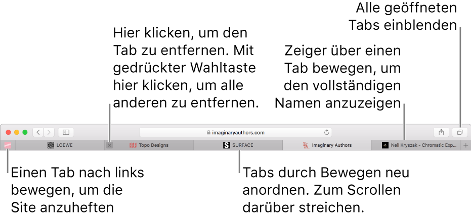 Ein Safari-Fenster mit Tabs.