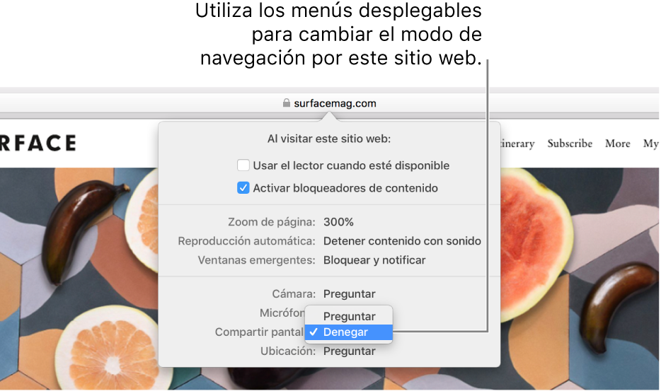 El cuadro de diálogo que aparece debajo del campo de búsqueda inteligente cuando eliges Safari > “Ajustes para este sitio web…”. El cuadro de diálogo contiene opciones para personalizar cómo navegas por el sitio web actual, incluido el uso de la vista del lector, la activación de los bloqueados res de contenido y otras opciones.