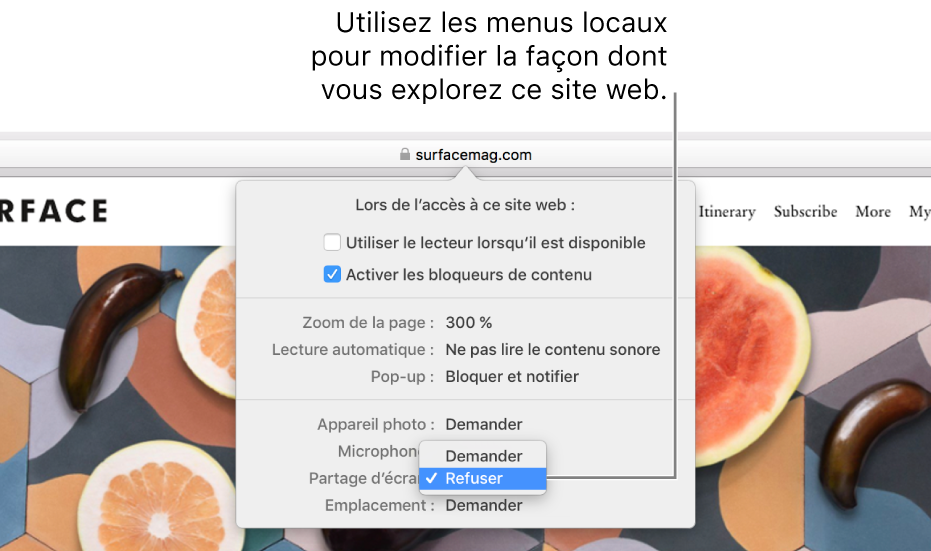 Zone de dialogue s’affichant sous le champ de recherche intelligente lorsque vous choisissez Safari > Réglages pour ce site web. La zone de dialogue contient des options permettant de personnaliser la façon dont vous parcourez le site web actuel. Vous pouvez notamment utiliser la présentation Lecteur, activer les bloqueurs de contenu, et plus encore.