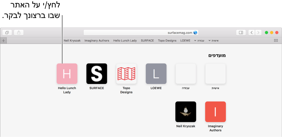 שדה הכתובת והחיפוש של Safari, ומתחתיו הצלמיות של האתרים המועדפים.