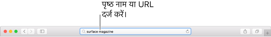 “Safari स्मार्ट खोज” फ़ील्ड, जहाँ आप किसी पृष्ठ का नाम या URL दर्ज कर सकते हैं