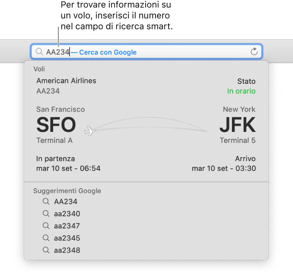 Un numero di volo inserito nel campo di ricerca smart, con lo stato del volo mostrato direttamente di seguito.