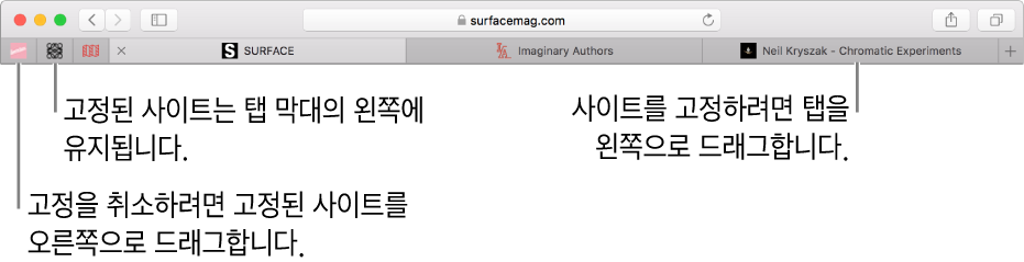 Safari 탭 막대에 있는 고정된 사이트.