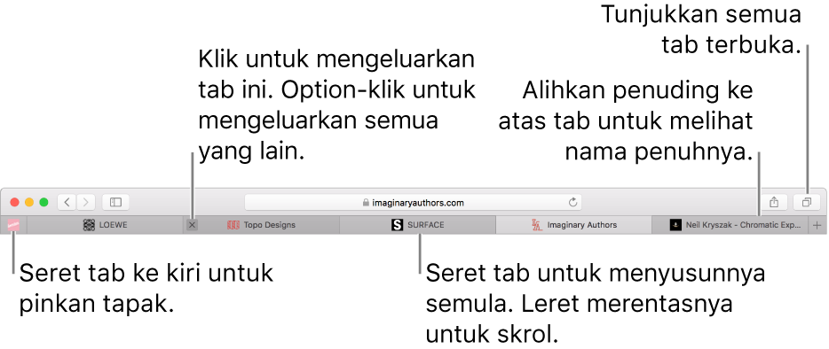 Tetingkap Safari dengan tab.