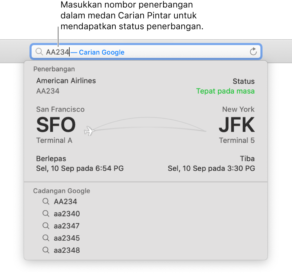 Nombor penerbangan dimasukkan dalam medan carian pintar, dengan status penerbangan ditunjukkan terus di bawah.