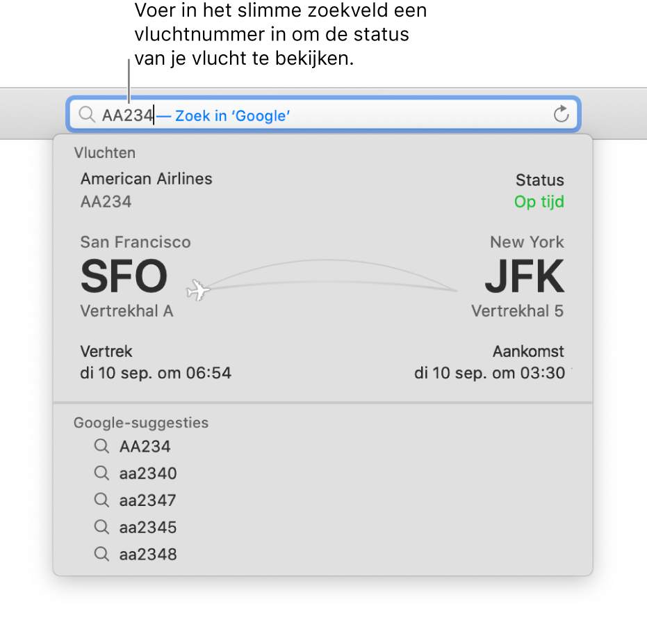 Een vluchtnummer dat is ingevoerd in het slimme zoekveld, met de status van de vlucht er direct onder.