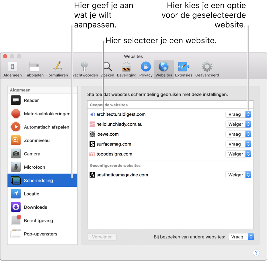 Het paneel 'Websites' in het voorkeurenvenster van Safari, waarin je per website kunt opgeven hoe je deze wilt bekijken.