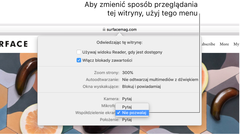 Okno dialogowe wyświetlane poniżej inteligentnego pola wyszukiwania po wybraniu polecenia menu Safari > Ustawienia dotyczące tej witryny. Okno to zawiera opcje pozwalające na dostosowywanie sposobu przeglądania bieżącej witryny, takie jak używanie widoku Reader, włączanie blokady zawartości i inne.