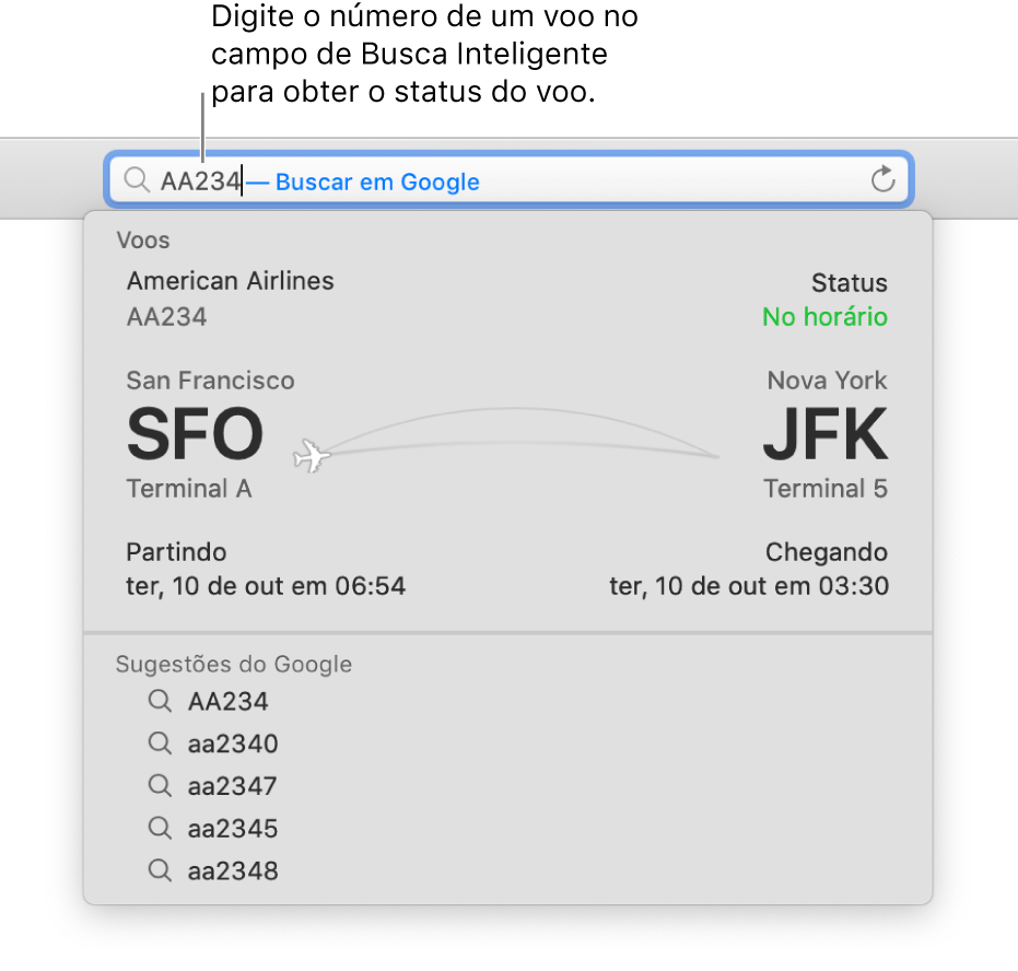 Um número do voo digitado no campo Busca Inteligente com o estado do voo mostrado diretamente abaixo.