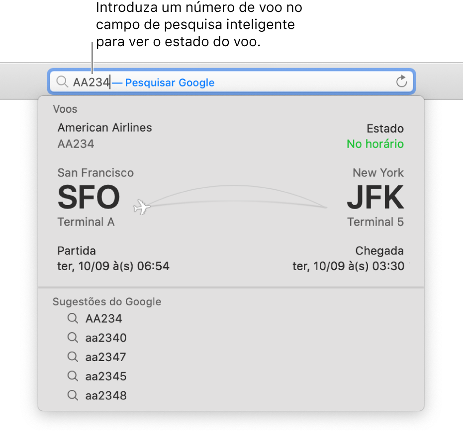 Um número de voo introduzido no campo de pesquisa inteligente, com o estado do voo apresentado diretamente por baixo.