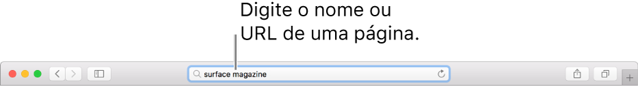 O campo de pesquisa inteligente do Safari, onde pode introduzir o nome ou URL de uma página.