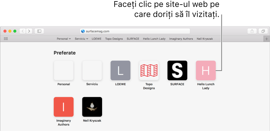 Câmpul de adresă şi de căutare din Safari; dedesubt sunt pictogramele site-urilor web preferate.