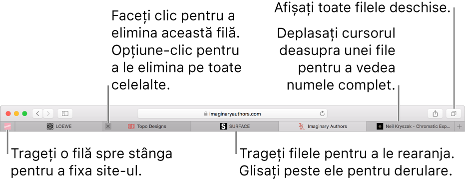 Fereastră Safari cu file.