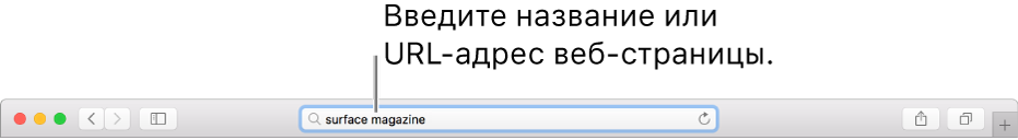 Поле смарт-поиска Safari, в которое можно ввести имя или URL-адрес страницы.