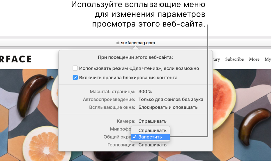 Диалоговое окно, появляющееся под полем смарт-поиска при выборе меню «Safari» > «Настройка для этого веб-сайта». Это диалоговое окно содержит варианты просмотра открытого веб-сайта, в том числе режим Reader, правила блокирования контента и другие параметры.