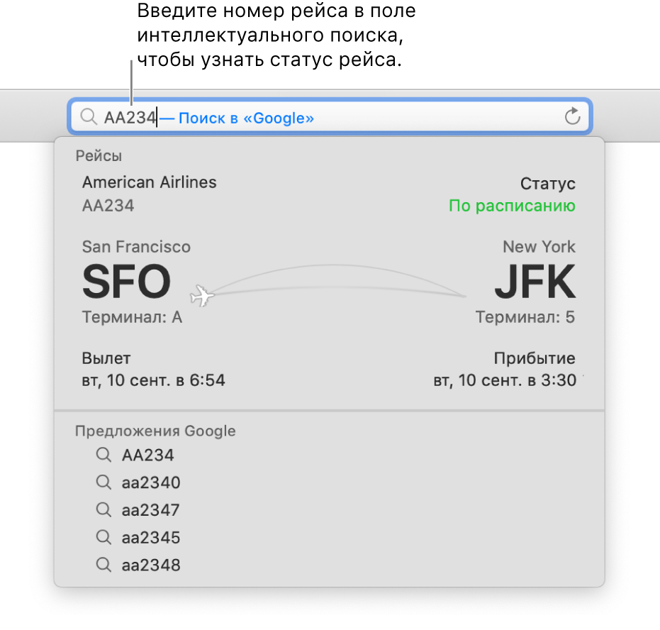 Номер рейса, введенный в поле смарт-поиска. Статус рейса отображается под полем смарт-поиска.
