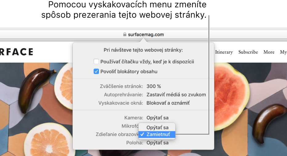 Dialógové okno, ktoré sa zobrazí pod poľom dynamického vyhľadávania, keď vyberiete Safari > Nastavenia pre túto webovú stránku. Dialógové okno obsahuje možnosti na úpravu prezerania aktuálnej webovej stránky, vrátane používania zobrazenia čítačky, povolenia blokátorov obsahu a iných.