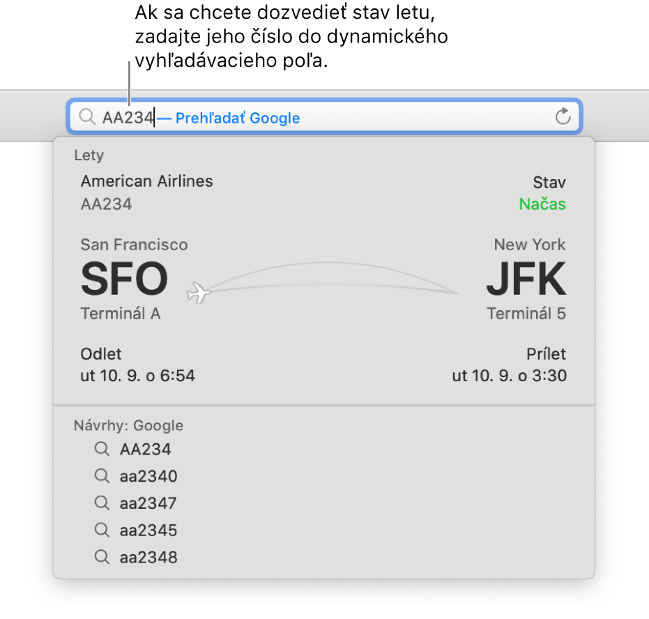 Číslo letu zadané do poľa dynamického vyhľadávania, so stavom letu zobrazenom nižšie.